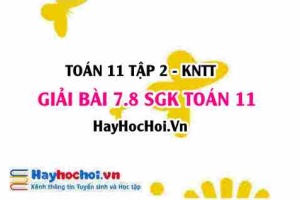 Bài 7.8 SGK Toán 11 Tập 2 Kết nối tri thức